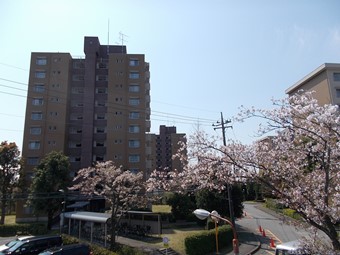 排水管改修工事〈SD団地〉