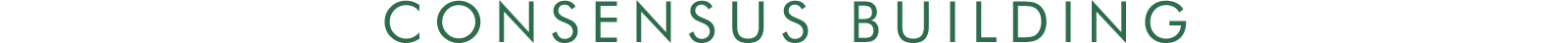 CONSENSUS BUILDING